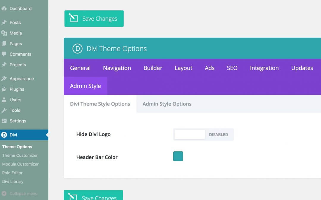 How to add custom Divi Theme Options about the Admin style